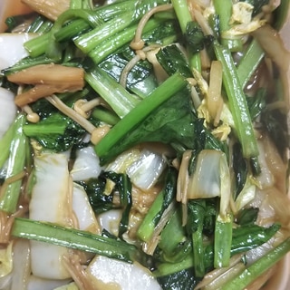 ホウレン草と白菜、えのきの中華炒め
